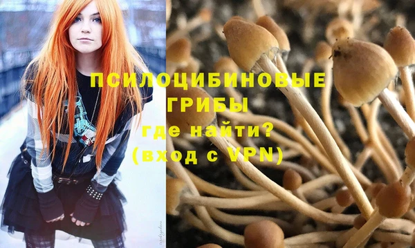 эйфоретик Алзамай