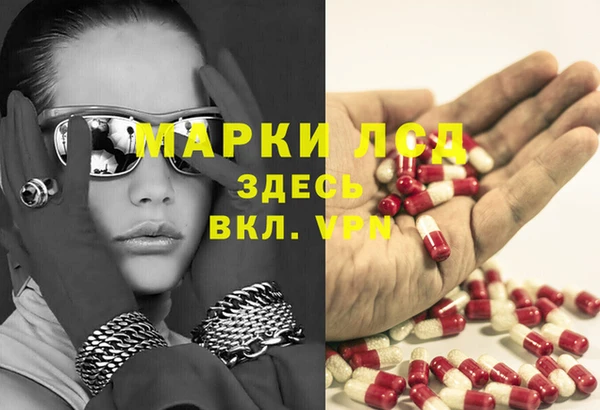эйфоретик Алзамай